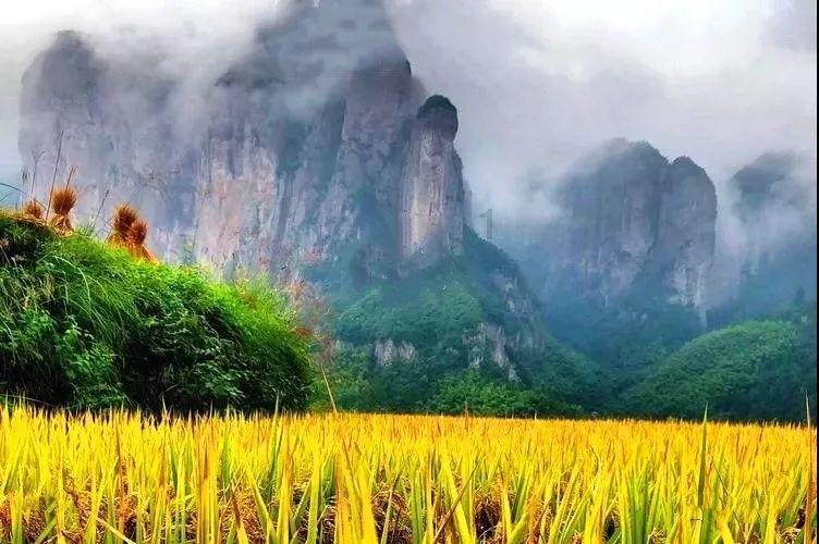 探寻奇趣无限,畅享智能手机哪几种品牌好问答乐趣